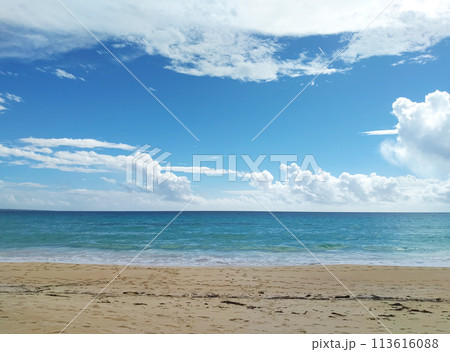 夏の青空と宮古島の海 113616088