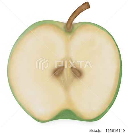 Apple hand dranw watercolor isolated . Fresh summer fruit sweet. Realistic apple set illustration	 113616140