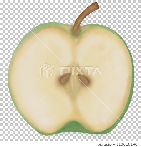 Apple hand dranw watercolor isolated . Fresh summer fruit sweet. Realistic apple set illustration	 113616140