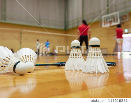 体育館の床にあるバドミントンのシャトルと運動する人々の姿 113616281