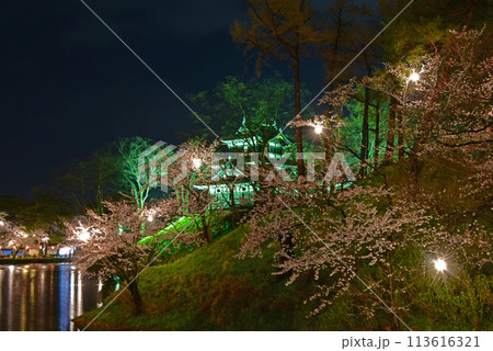 新潟県　日本三大夜桜　高田城の夜桜 113616321