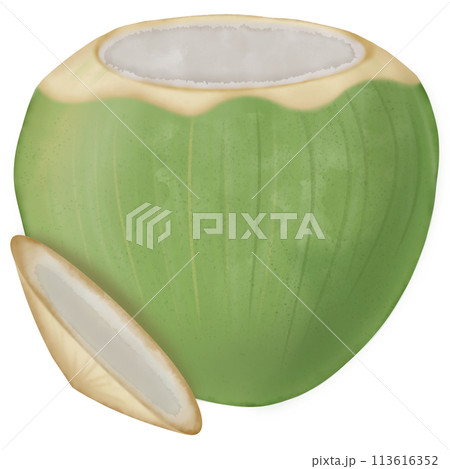 coconut hand drawn, isolated fruit painting watercolor illustration. coconut hand drawn, isolated fruit painting watercolor illustration. 113616352