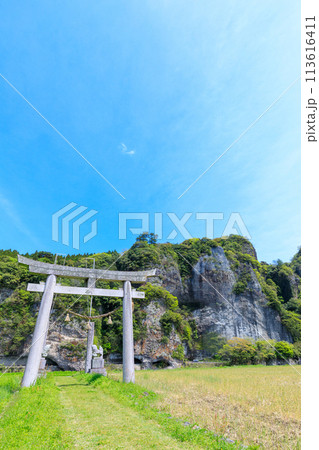 春の青の洞門　毛蕨神社　大分県中津市 113616411