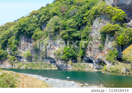 春の青の洞門 大分県中津市 春の青の洞門 大分県中津市 113616414