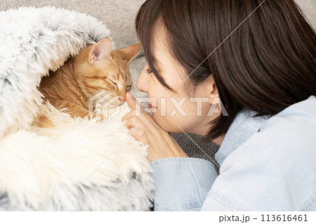 茶トラの仔猫の鼻に触れる女性 茶トラの仔猫の鼻に触れる女性 113616461