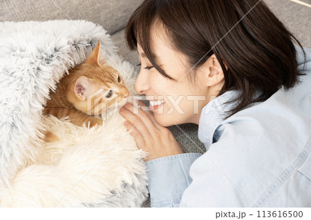茶トラの仔猫を見つめる女性 茶トラの仔猫を見つめる女性 113616500