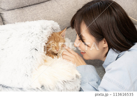 茶トラの仔猫の頬に触れる女性 113616535