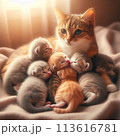 子育てをしている母猫 113616781