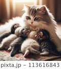 ふわふわの母猫と生まれたばかりの子猫達 113616843