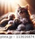 生まれたての子猫達に授乳している母猫 113616874