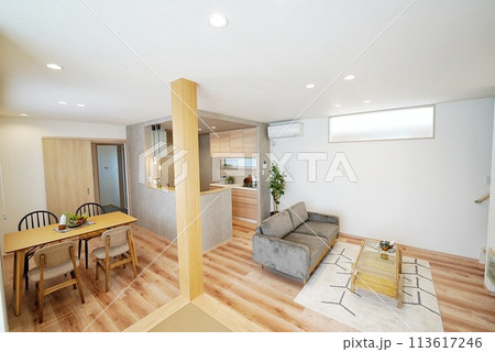 お洒落なキッチンとリビングダイニング 113617246