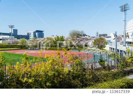 味の素スタジアム AGFフィールド 味の素スタジアム AGFフィールド 113617339