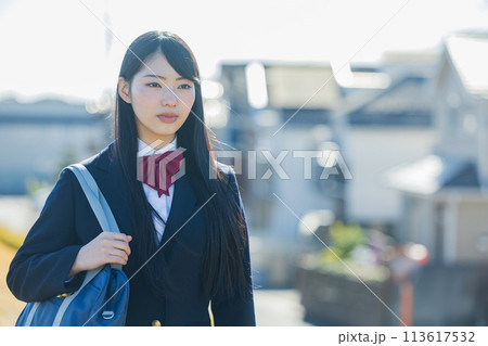 制服を着た女子高生 制服を着た女子高生 113617532