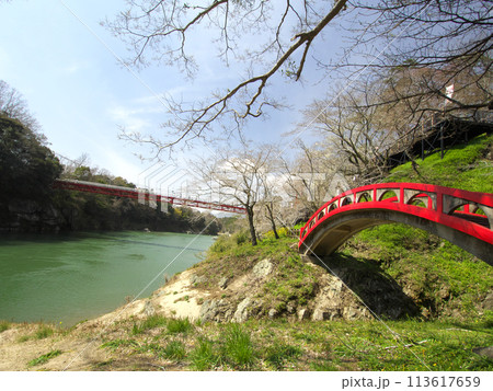 小さな赤い橋と笠岩橋 113617659