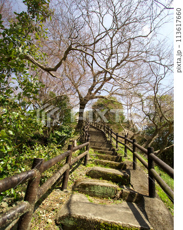 公園の階段を昇る 113617660