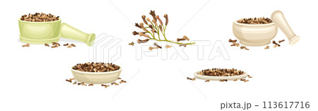 Dried Brown Cloves Condiment and Fragrant Spice Vector Set 113617716