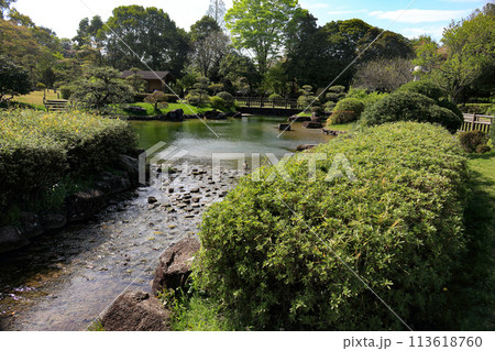池のある日本庭園 池のある日本庭園 113618760