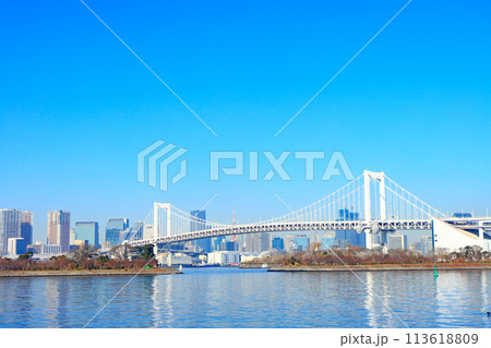 東京都港区、レインボーブリッジの風景 東京都港区、レインボーブリッジの風景 113618809