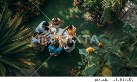 friends and family eating and cooking at a garden 113619100