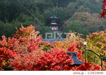 紅葉に包まれた多宝塔 紅葉の京都永観堂 京都の紅葉の名所 秋の京都人気スポット   紅葉に包まれた多宝塔 紅葉の京都永観堂 京都の紅葉の名所 秋の京都人気スポット   113619690