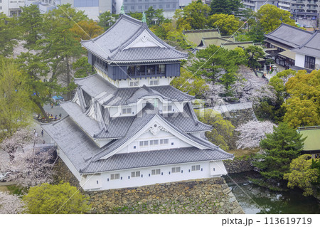 桜が見頃の美しい小倉城 113619719