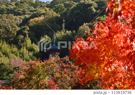 紅葉に包まれた多宝塔 紅葉の京都永観堂 京都の紅葉の名所 秋の京都人気スポット   紅葉に包まれた多宝塔 紅葉の京都永観堂 京都の紅葉の名所 秋の京都人気スポット   113619736