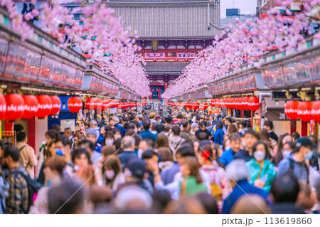 日本の東京都市景観 桜が満開の季節…脱コロナ…インバウンド完全復活、外国人観光客で賑わう浅草寺＝6日 113619860