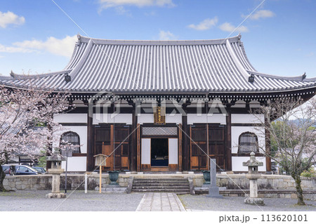 春の京都　くろ谷 金戒光明寺　桜と阿弥陀堂 113620101