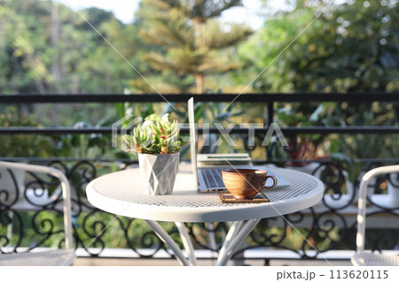 tea cup on a wooden work table outside with side view of Laptop  and plant pot balcony outdoor 113620115