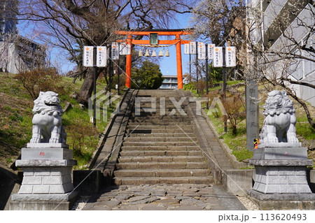 榴岡天満宮 榴岡天満宮 113620493