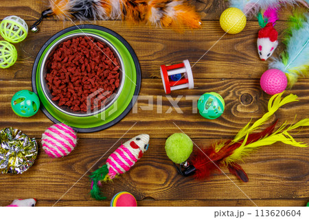 Set of toys for cat and bowl with dry pet food on wooden background. Top view. Pet care concept 113620604