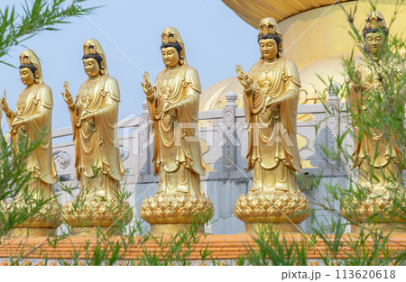 Golden statue goddess of Mercy Guanyin or Quan Yin statue at Fo Guang Shan Thaihua Temple. Golden statue goddess of Mercy Guanyin or Quan Yin statue at Fo Guang Shan Thaihua Temple. 113620618