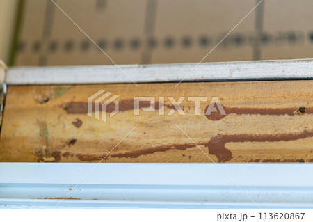 洋室のリフォーム サッシ膳板の取替え 洋室のリフォーム サッシ膳板の取替え 113620867