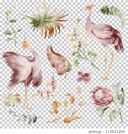 Pink Ibis birds. Watercolor elements of tropical birds, flowers and plants. Banana plants and orchid, Australian flamingo on a white background. Illustrations of wildlife animals and plants. 113621204