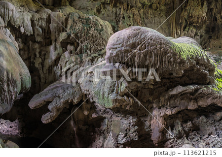 landscape of Nok Nang Aen Cave at Lam Khlong Ngu National Park, Kanchanaburi, Unseen in Thailand 113621215