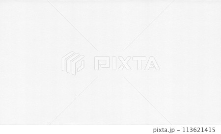 エンボスの凹凸がおしゃれ、イラストの背景に使える白い水彩紙 113621415