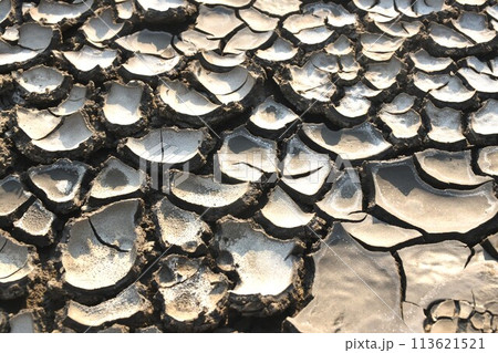 crack paddy field on ground in dry season crack paddy field on ground in dry season 113621521