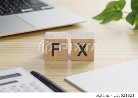 FXと書かれた積み木のブロック FXと書かれた積み木のブロック 113621621