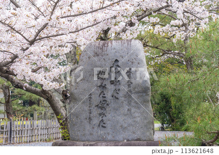 春の京都 清凉寺 (嵯峨釈迦堂) 桜と嵯峨大念佛伝承碑 春の京都 清凉寺 (嵯峨釈迦堂) 桜と嵯峨大念佛伝承碑 113621648