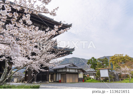 春の京都 清凉寺 (嵯峨釈迦堂) 桜と仁王門 春の京都 清凉寺 (嵯峨釈迦堂) 桜と仁王門 113621651
