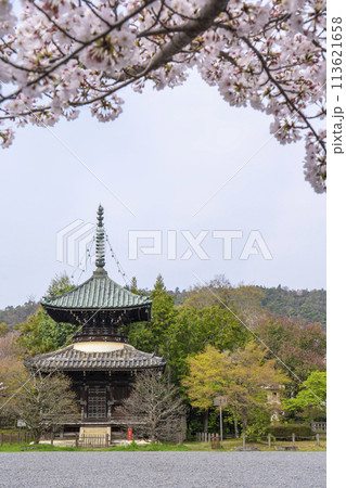 春の京都 清凉寺 (嵯峨釈迦堂) 桜と多宝塔 春の京都 清凉寺 (嵯峨釈迦堂) 桜と多宝塔 113621658