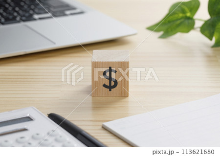 ＄と書かれた積み木のブロック 113621680