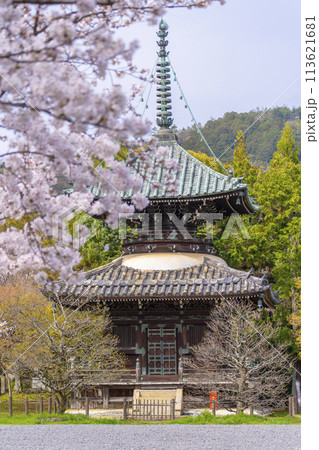 春の京都 清凉寺 (嵯峨釈迦堂) 桜と多宝塔 春の京都 清凉寺 (嵯峨釈迦堂) 桜と多宝塔 113621681