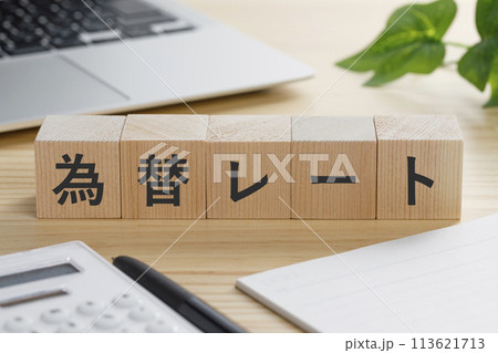 為替レートと書かれた積み木のブロック 為替レートと書かれた積み木のブロック 113621713