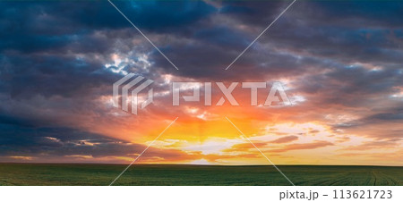 Spring Sunset Sky Above Countryside Rural Meadow Landscape. Wheat Field Under Sunny Spring Sky. Skyline. Agricultural Landscape With Growing Green Young Wheat Shoots, Wheat Germs. Spring Sunset Sky Above Countryside Rural Meadow Landscape. Wheat Field Under Sunny Spring Sky. Skyline. Agricultural Landscape With Growing Green Young Wheat Shoots, Wheat Germs. 113621723