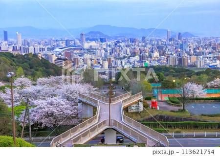 2024年春、桜咲く竜王公園から眺める広島市街風景 2024年春、桜咲く竜王公園から眺める広島市街風景 113621754