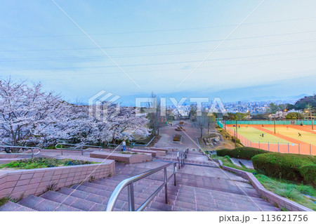 2024年春、桜咲く竜王公園から眺める広島市街風景 2024年春、桜咲く竜王公園から眺める広島市街風景 113621756