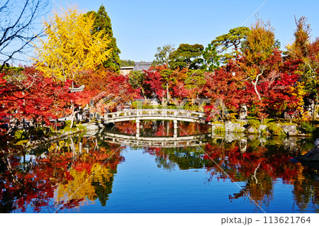 紅葉の放生池の風景　紅葉の京都永観堂　京都の紅葉の名所　秋の京都人気スポット　　 113621764