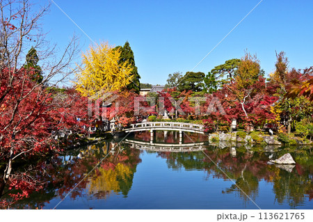 紅葉の放生池の風景　紅葉の京都永観堂　京都の紅葉の名所　秋の京都人気スポット　　 113621765