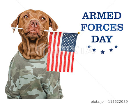 Armed Forces Day. Charming dog and congratulatory inscription 113622089